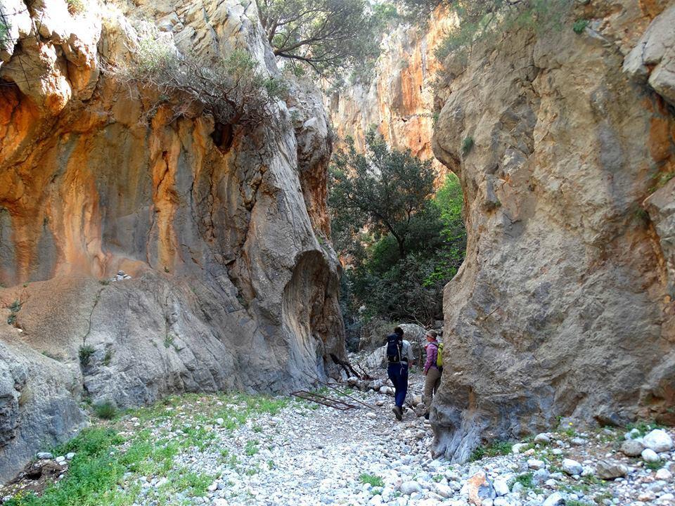 Dimitra Apartments Zakros Canyon Entrance Extérieur photo