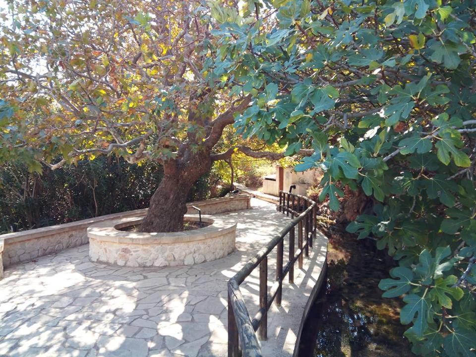 Dimitra Apartments Zakros Canyon Entrance Extérieur photo